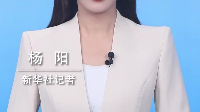 企业搜索技术架构规范：构建高效信息检索的基石